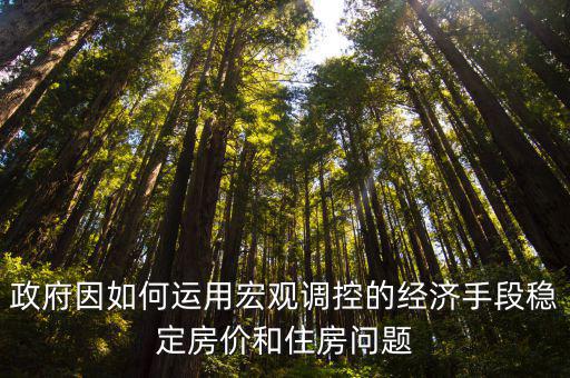 政府因如何運用宏觀調(diào)控的經(jīng)濟手段穩(wěn)定房價和住房問題