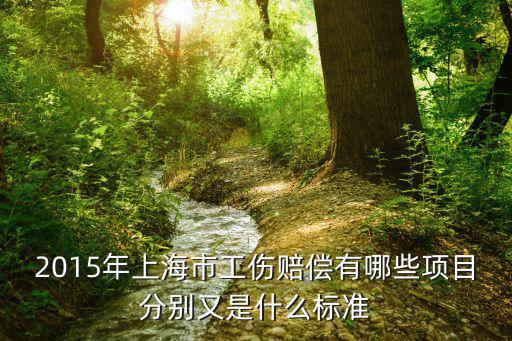 2015年上海市工傷賠償有哪些項目分別又是什么標準