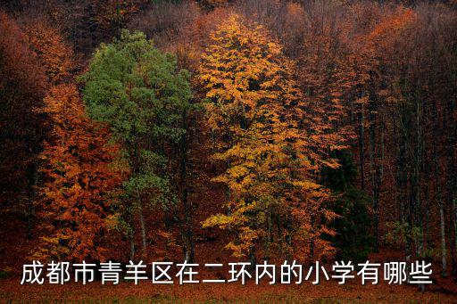 成都市青羊區在二環內的小學有哪些