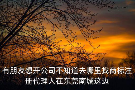 有朋友想開公司不知道去哪里找商標注冊代理人在東莞南城這邊