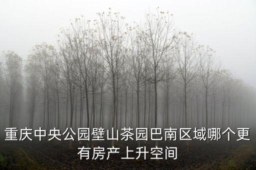重慶中央公園壁山茶園巴南區(qū)域哪個更有房產(chǎn)上升空間
