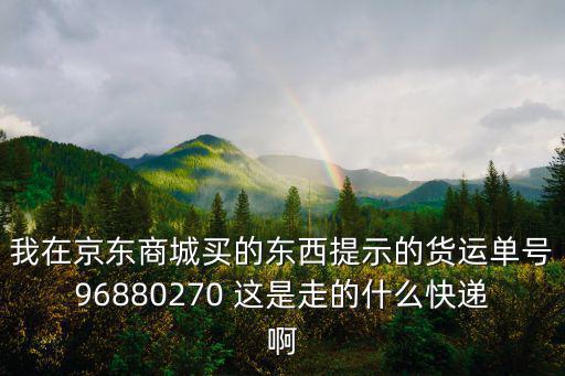 我在京東商城買的東西提示的貨運(yùn)單號(hào)96880270 這是走的什么快遞啊
