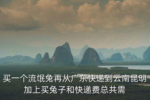 買一個流氓兔再從廣東快遞到云南昆明加上買兔子和快遞費總共需