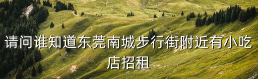 請問誰知道東莞南城步行街附近有小吃店招租