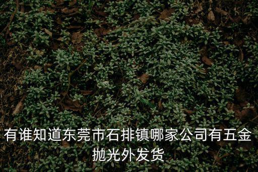有誰知道東莞市石排鎮哪家公司有五金拋光外發貨