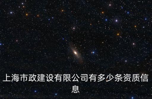 上海市政建設有限公司有多少條資質信息