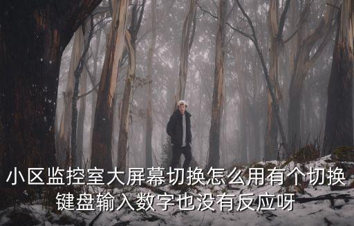 小區監控室大屏幕切換怎么用有個切換鍵盤輸入數字也沒有反應呀