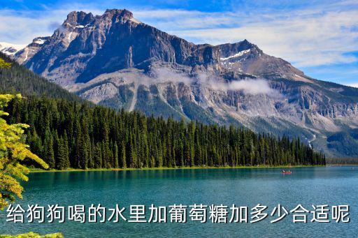 給狗狗喝的水里加葡萄糖加多少合適呢