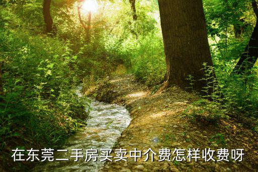 在東莞二手房買賣中介費怎樣收費呀