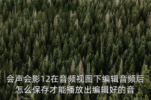 會聲會影12在音頻視圖下編輯音頻后怎么保存才能播放出編輯好的音