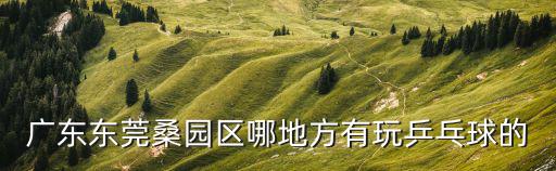廣東東莞桑園區(qū)哪地方有玩乒乓球的