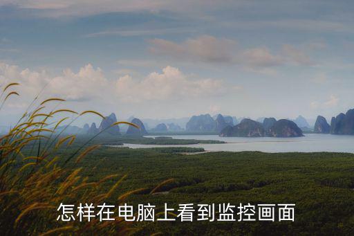 怎樣在電腦上看到監(jiān)控畫面