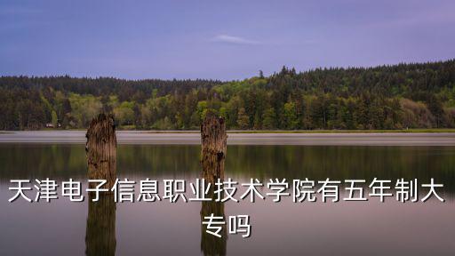 天津電子信息職業技術學院有五年制大專嗎