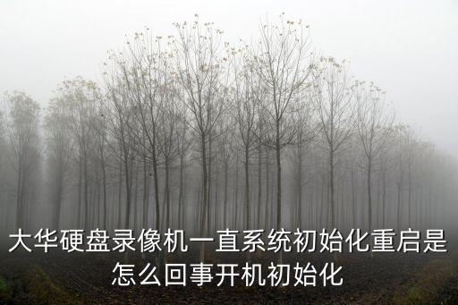 大華視頻存儲(chǔ)服務(wù)器怎么重新啟動(dòng)，怎么重啟服務(wù)器安全狗