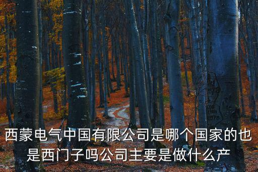 西蒙電氣中國有限公司是哪個國家的也是西門子嗎公司主要是做什么產
