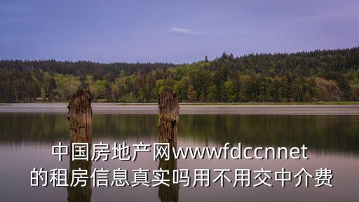 東莞搜房網租房松山湖保利，中國房地產網wwwfdccnnet 的租房信息真實嗎用不用交中介費