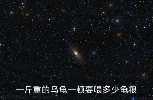 一斤重的烏龜一頓要喂多少龜糧