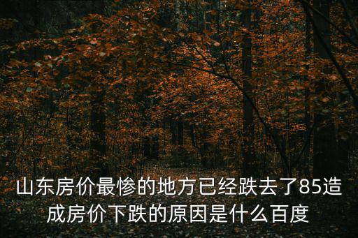 山東房價最慘的地方已經跌去了85造成房價下跌的原因是什么百度