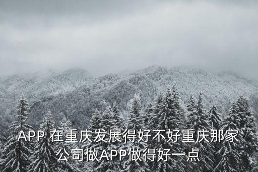 APP 在重慶發(fā)展得好不好重慶那家公司做APP做得好一點(diǎn)