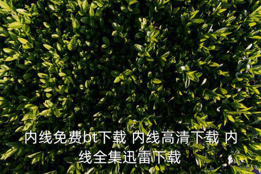 內(nèi)線免費bt下載 內(nèi)線高清下載 內(nèi)線全集迅雷下載