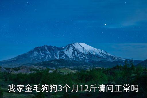 金毛狗狗三個(gè)月應(yīng)該多少斤，大型犬的小狗三個(gè)月了一般長多少斤