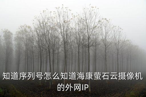 海康威視序列號怎么看，知道序列號怎么知道海康螢石云攝像機的外網IP