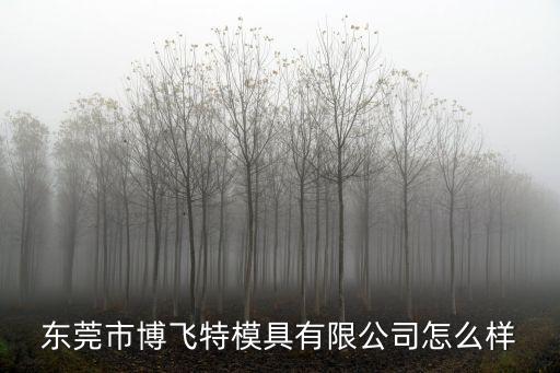 東莞市博飛特模具有限公司怎么樣