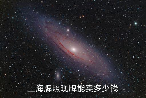 上海牌照現牌能賣多少錢