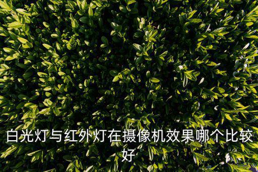 白光燈與紅外燈在攝像機效果哪個比較好
