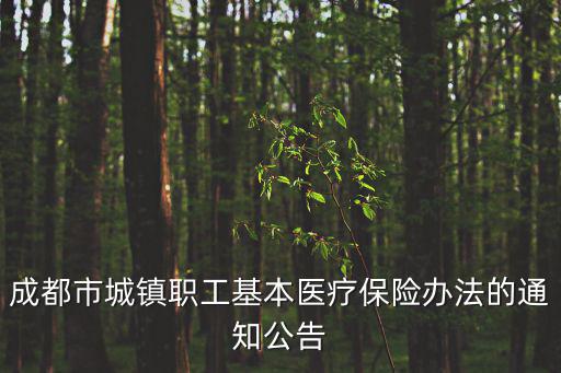 成都市2019 60號文件，成都市城鎮職工基本醫療保險辦法的通知公告