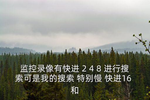 監控錄像有快進 2 4 8 進行搜索可是我的搜索 特別慢 快進16 和