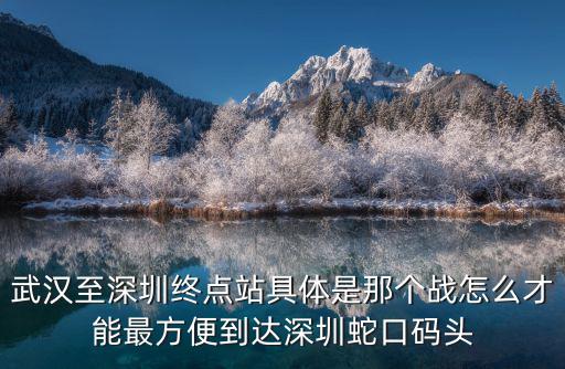 武漢至深圳終點站具體是那個戰怎么才能最方便到達深圳蛇口碼頭