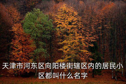 天津市河東區晨光樓小區，天津河東區晨光樓小區有拆遷的消息嗎