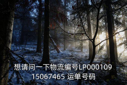 想請問一下物流編號LP00010915067465 運單號碼