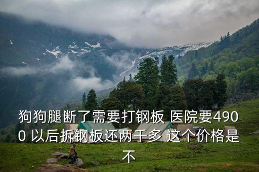 狗狗后面兩條腿斷了 多少錢，小狗金毛的兩個狗腿斷了 去接好的話要多少錢