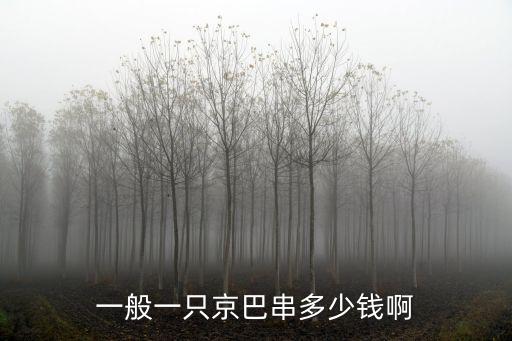 一般一只京巴串多少錢啊