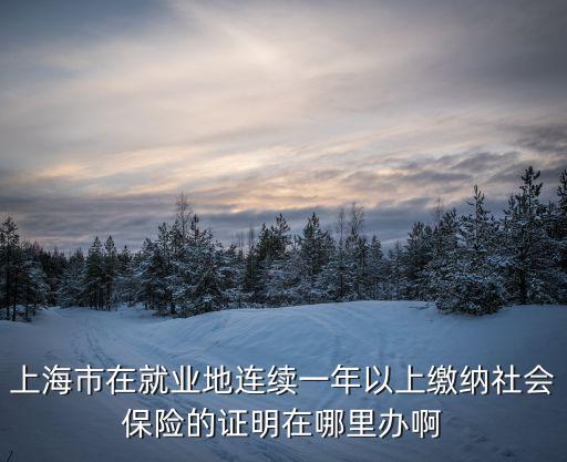 上海市在就業地連續一年以上繳納社會保險的證明在哪里辦啊