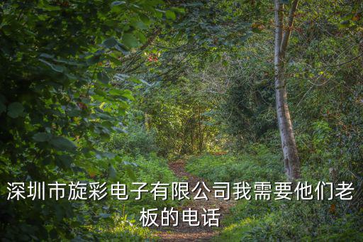 深圳市旋彩電子有限公司我需要他們老板的電話
