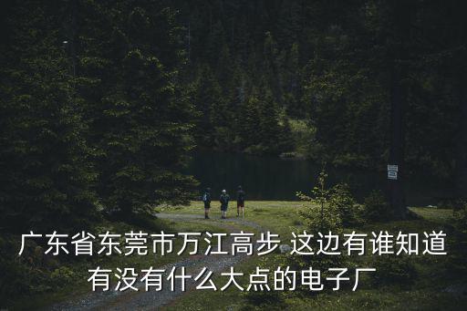 廣東省東莞市萬江高步 這邊有誰知道有沒有什么大點的電子廠