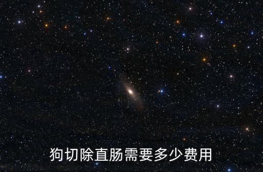 狗切除直腸需要多少費用