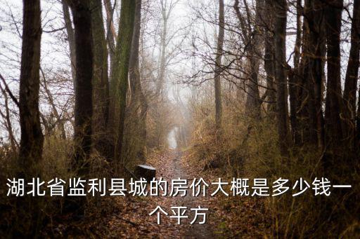 湖北省監(jiān)利縣城的房價(jià)大概是多少錢一個(gè)平方