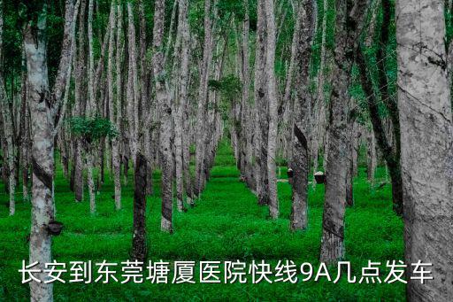 長安到東莞塘廈醫(yī)院快線9A幾點發(fā)車