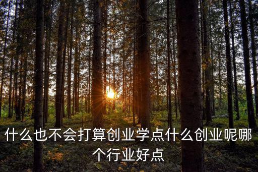什么也不會打算創業學點什么創業呢哪個行業好點