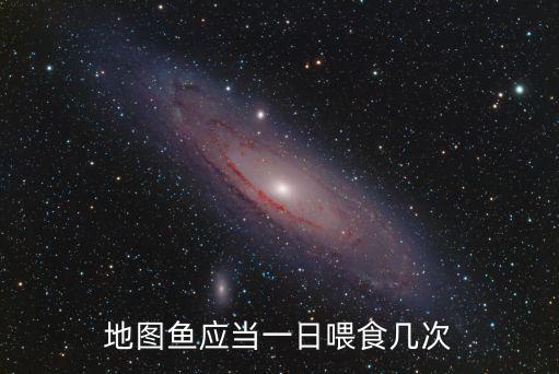 地圖魚應當一日喂食幾次