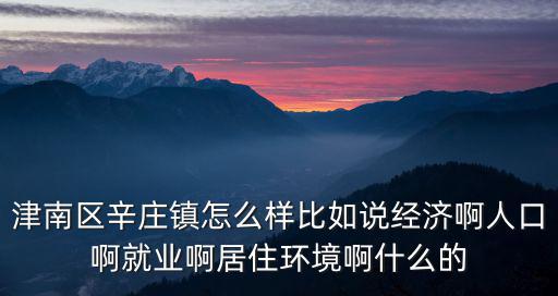 天津市津南區辛莊鎮區位優勢，天津市津南區辛莊鎮以后有什么發展不