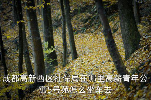 成都市高新區南灣公寓的位置，成都高新西區社保局在哪里高薪青年公寓5號苑怎么坐車去