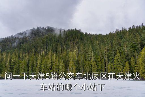 問一下天津5路公交車北辰區在天津火車站的哪個小站下