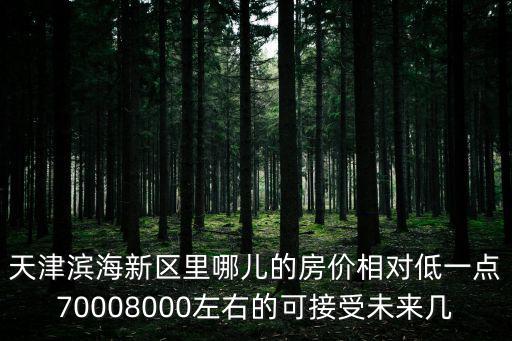 天津濱海新區里哪兒的房價相對低一點70008000左右的可接受未來幾