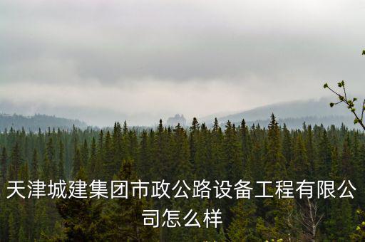 天津城建集團市政公路設(shè)備工程有限公司怎么樣