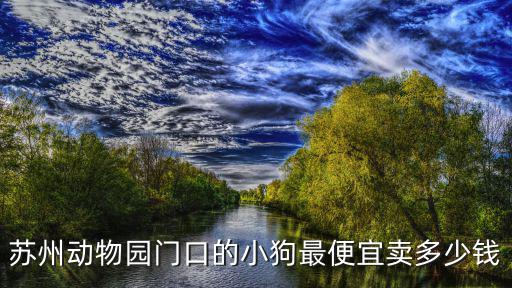 蘇州秋田犬多少錢，蘇州一個23個月的黃博美大概在什么價位不是狗販子的那種要覺